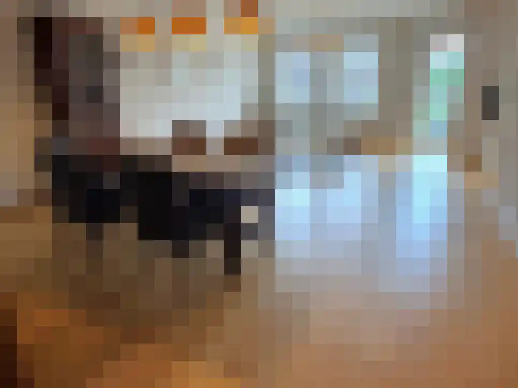 Molenbergdreef 16 Putte