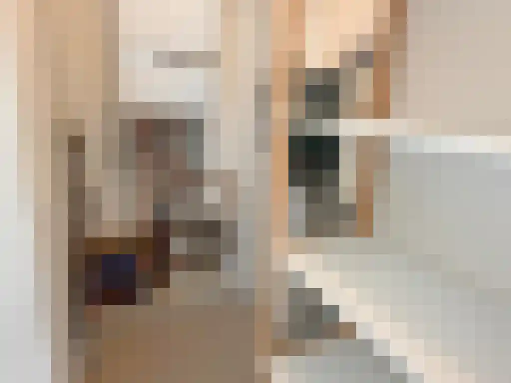 Molenbergdreef 16 Putte thumbnail 10