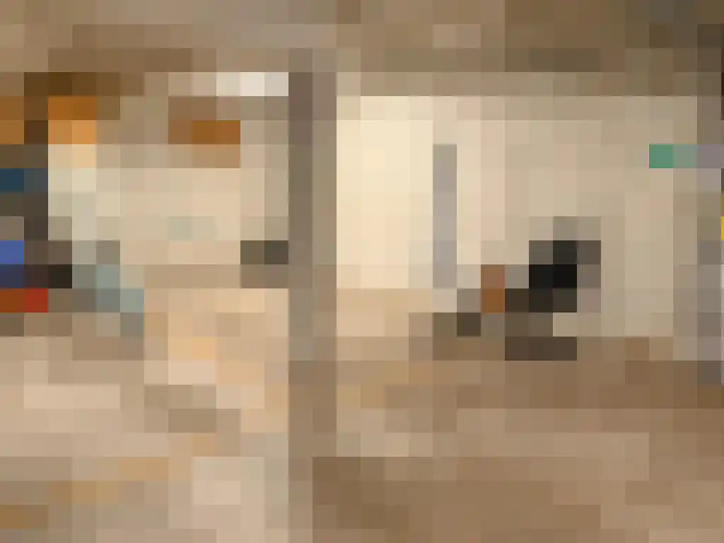 Molenbergdreef 16 Putte thumbnail 13