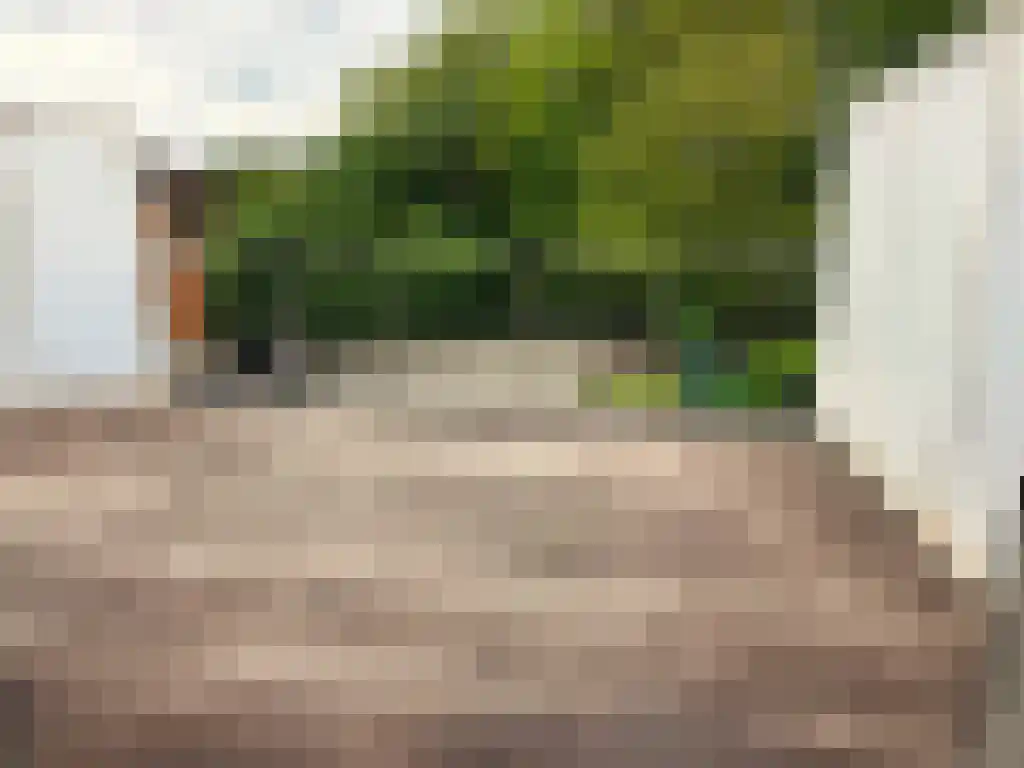 Molenbergdreef 16 Putte thumbnail 6