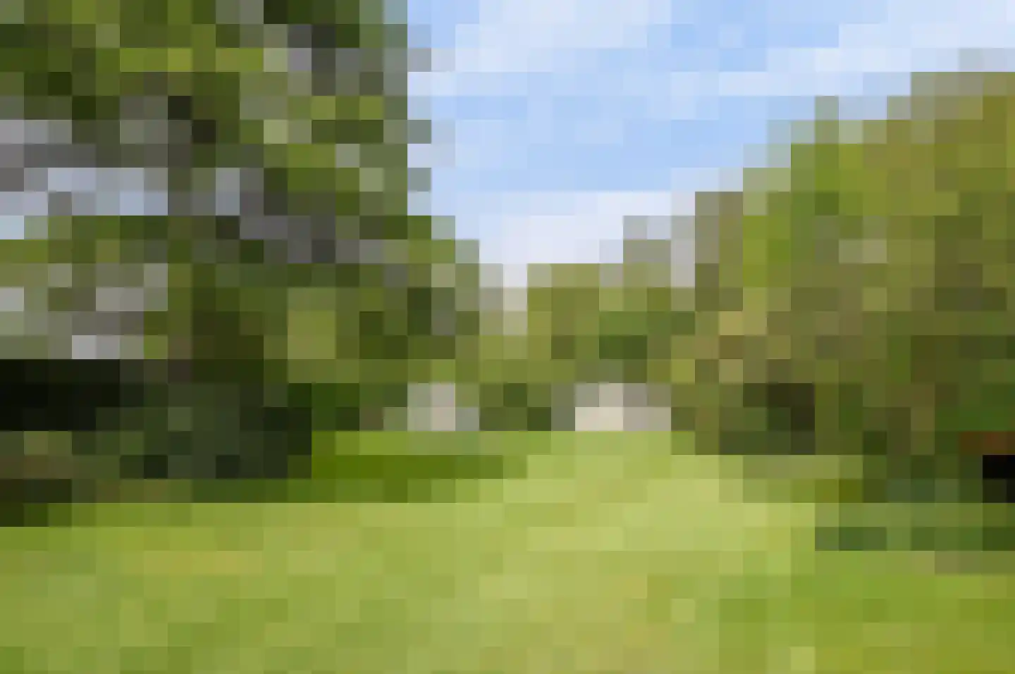 Molenbergdreef 6 Putte thumbnail 10