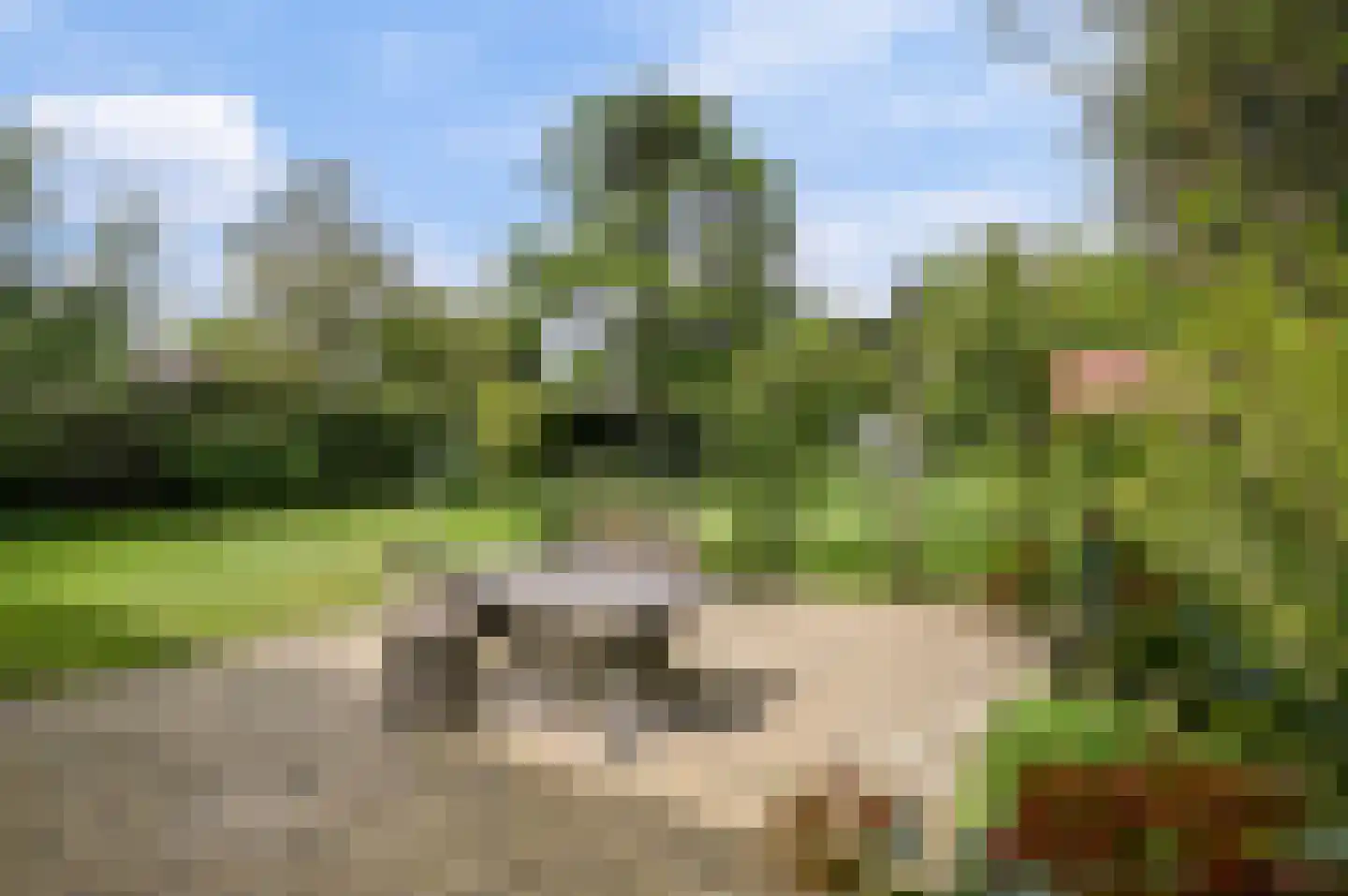 Molenbergdreef 6 Putte thumbnail 11