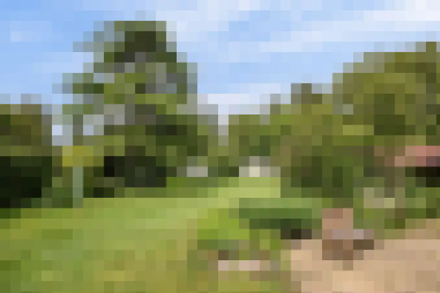 Molenbergdreef 6 Putte thumbnail 12