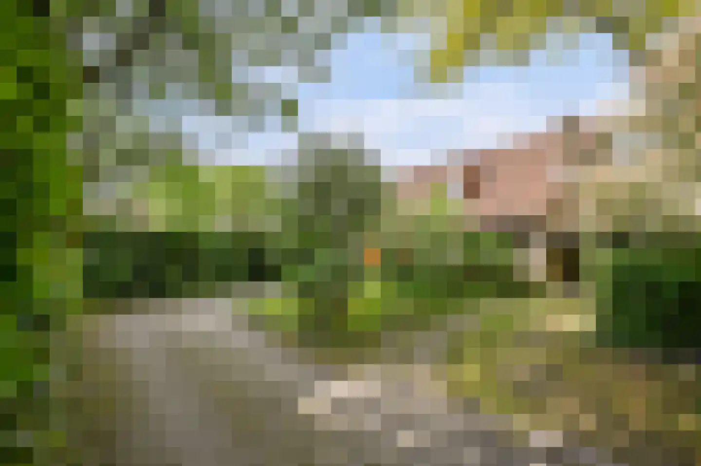 Molenbergdreef 6 Putte thumbnail 14