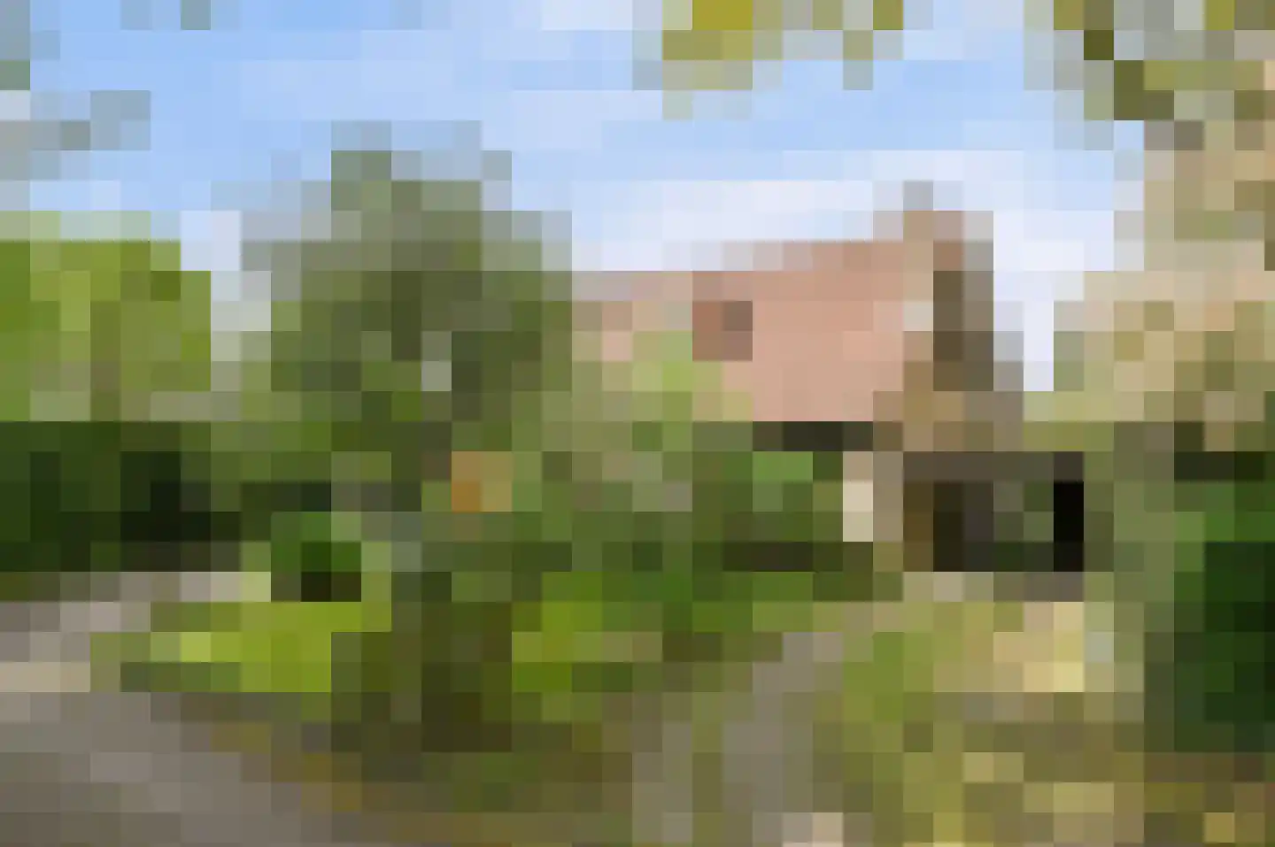 Molenbergdreef 6 Putte thumbnail 15