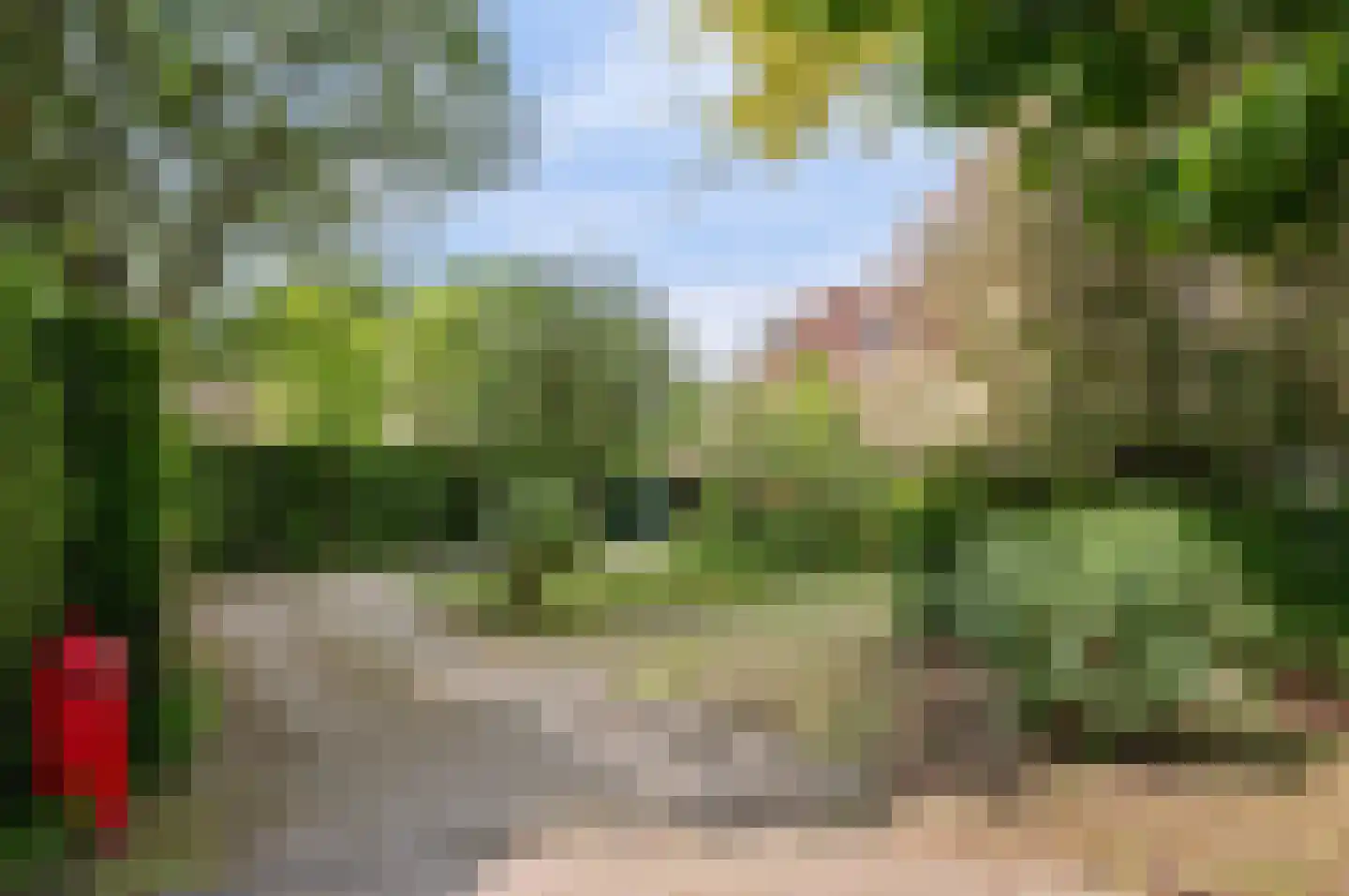 Molenbergdreef 6 Putte thumbnail 16
