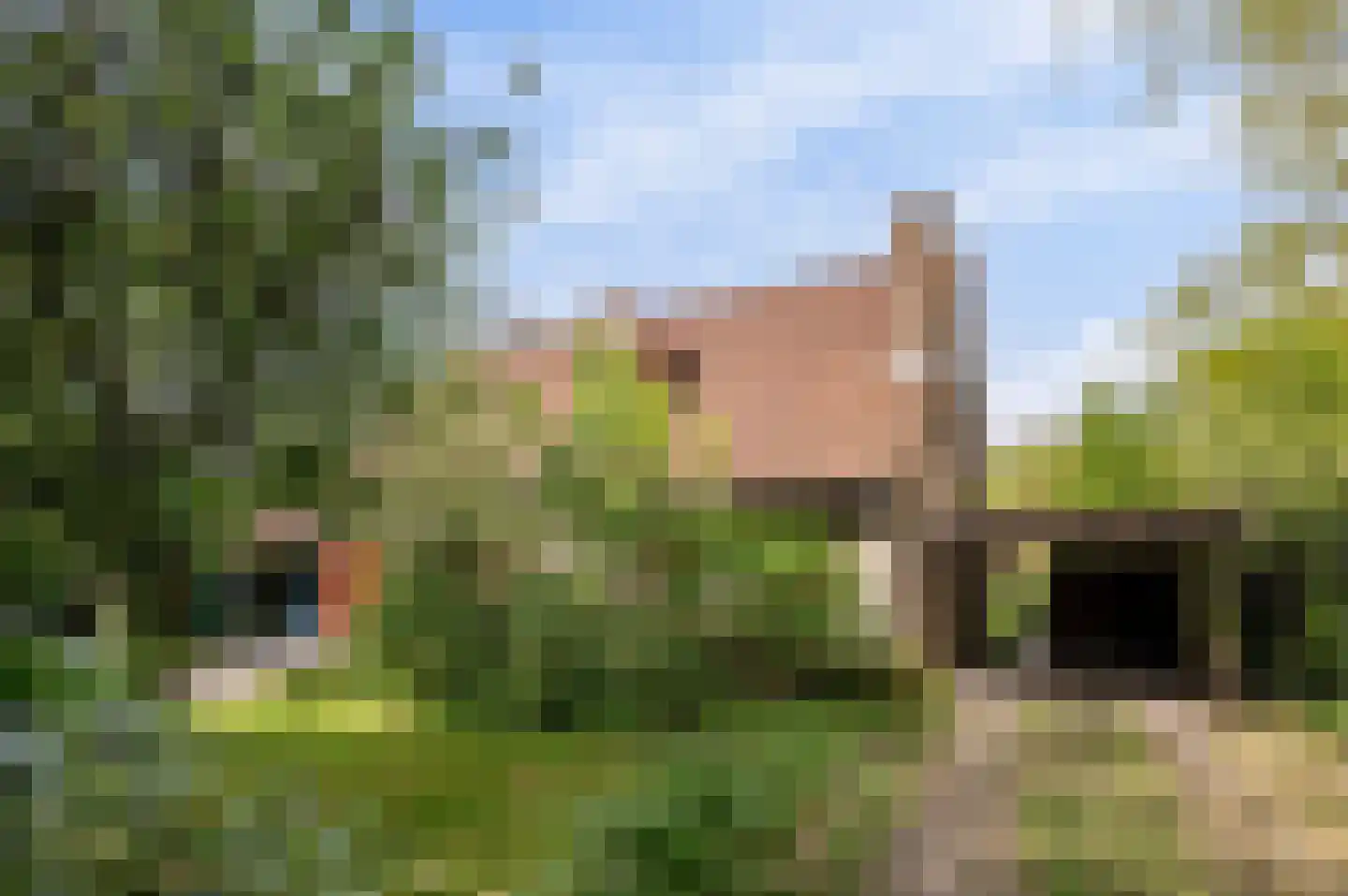 Molenbergdreef 6 Putte thumbnail 17