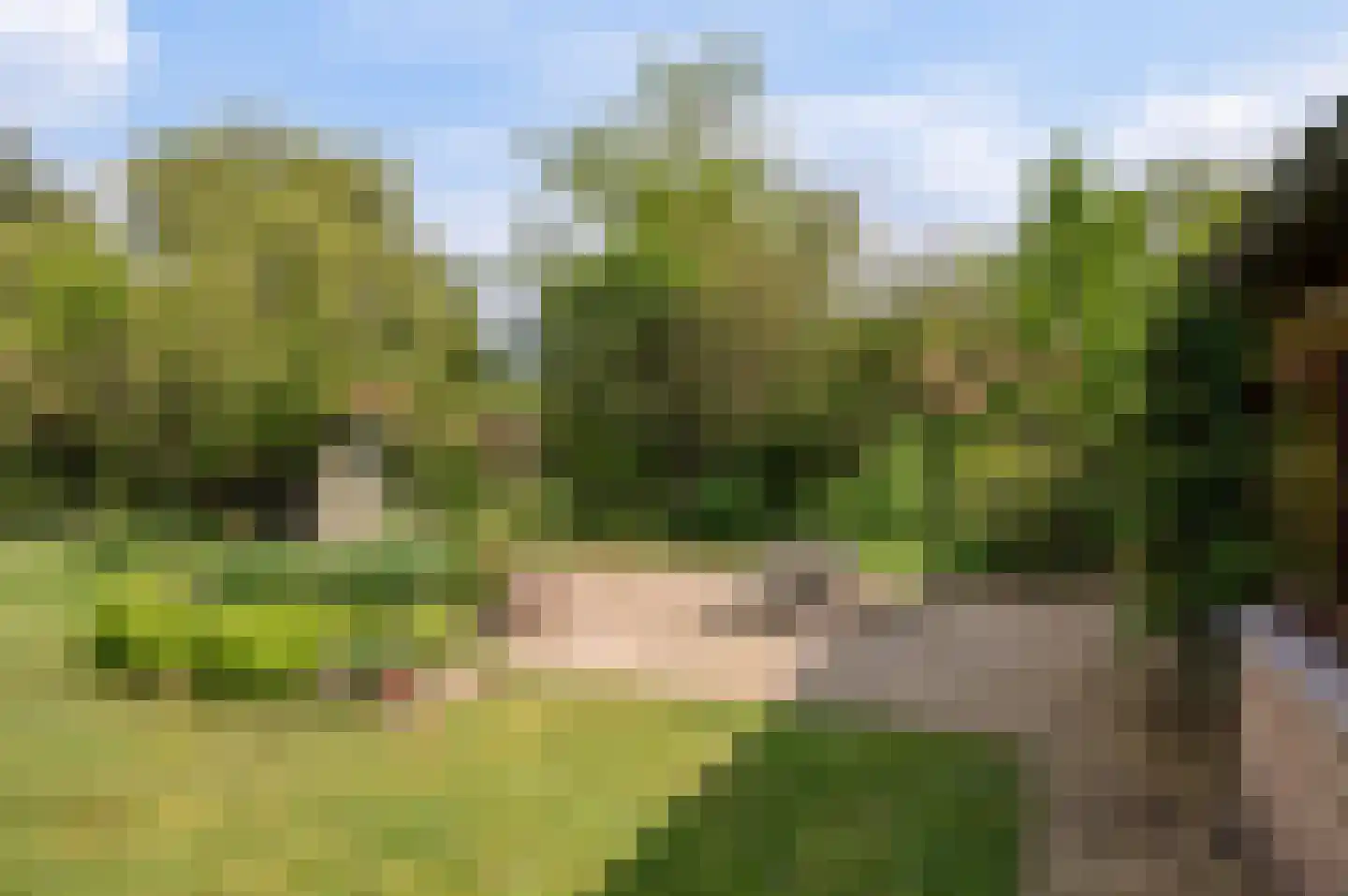 Molenbergdreef 6 Putte thumbnail 19