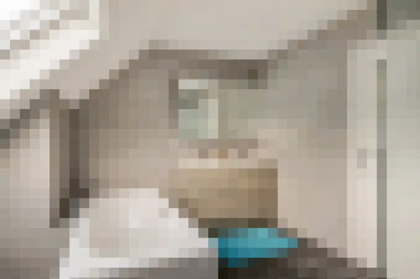 Molenbergdreef 6 Putte thumbnail 25
