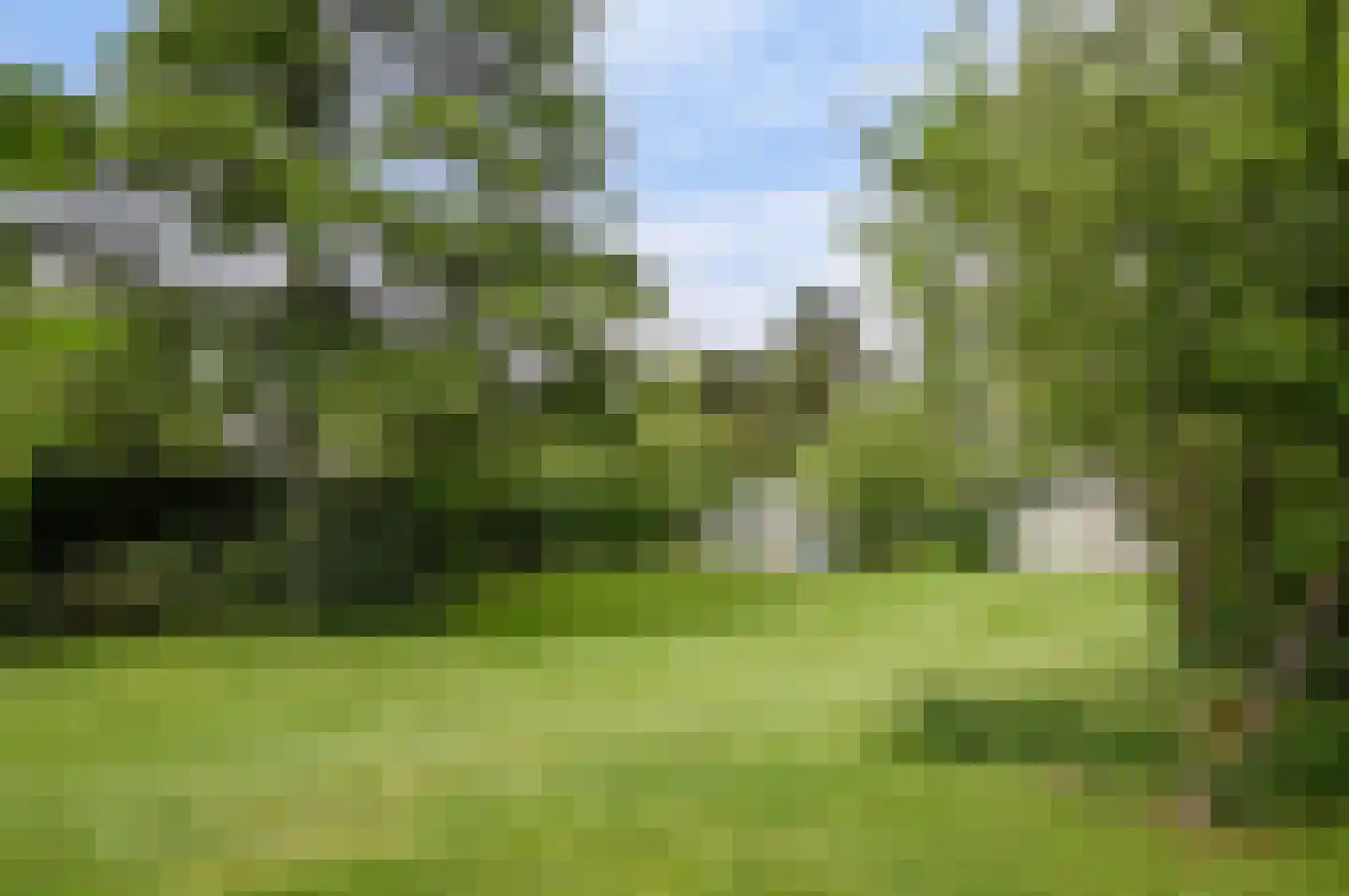 Molenbergdreef 6 Putte thumbnail 8