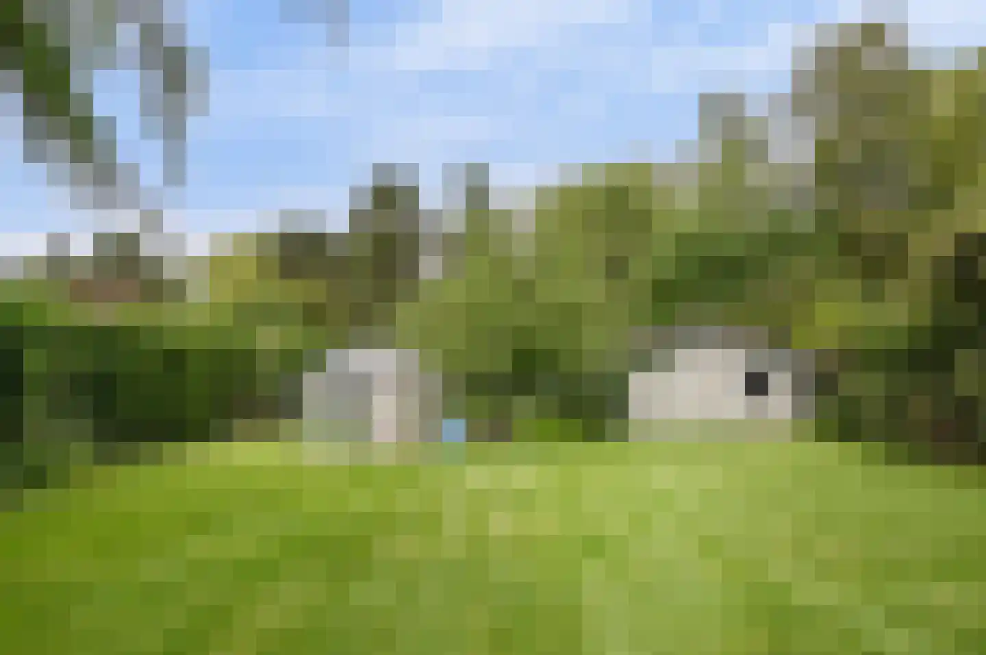 Molenbergdreef 6 Putte thumbnail 9
