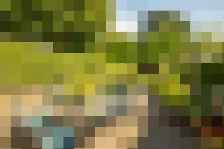 Molenberglaan 118 Heerlen thumbnail 27