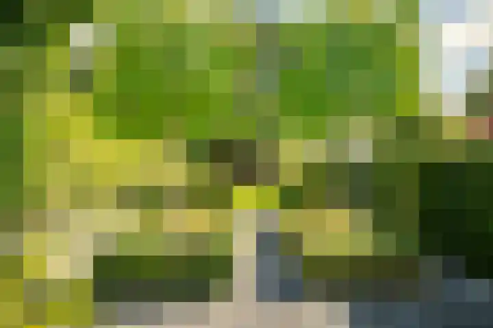 Molenberglaan 118 Heerlen thumbnail 30