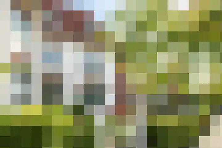 Molenberglaan 118 Heerlen thumbnail 32