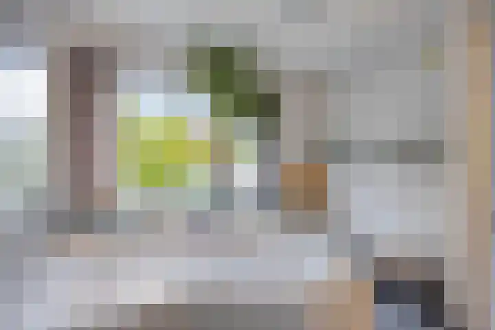 Molenberglaan 18 Klundert thumbnail 22