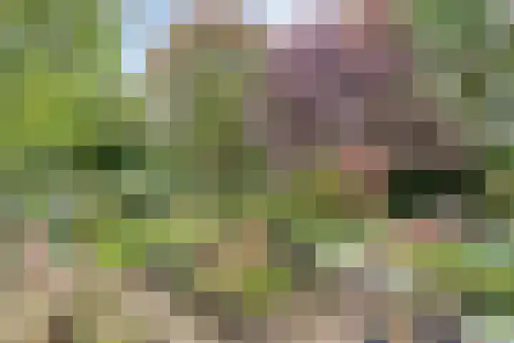 Molenberglaan 18 Klundert thumbnail 29
