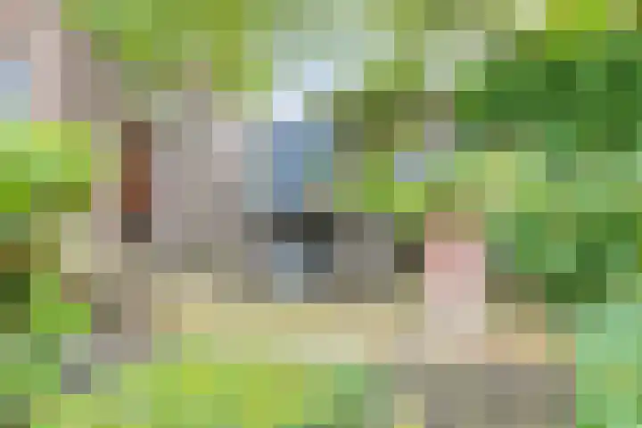 Molenberglaan 18 Klundert thumbnail 30