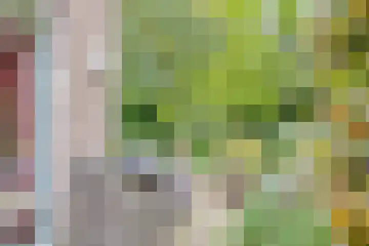 Molenberglaan 18 Klundert thumbnail 31