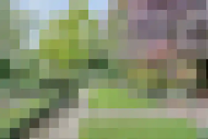 Molenberglaan 18 Klundert thumbnail 32