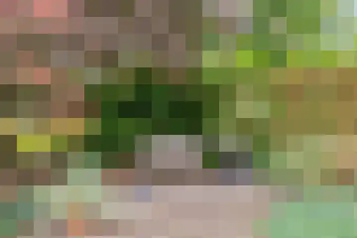 Molenberglaan 18 Klundert thumbnail 33