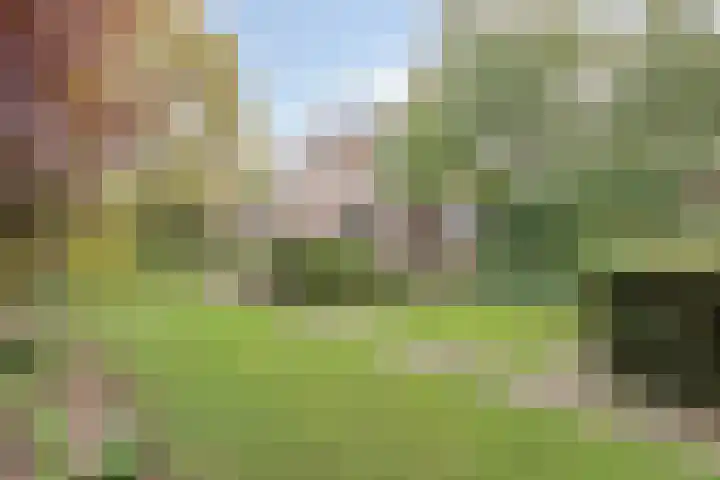 Molenberglaan 18 Klundert thumbnail 34