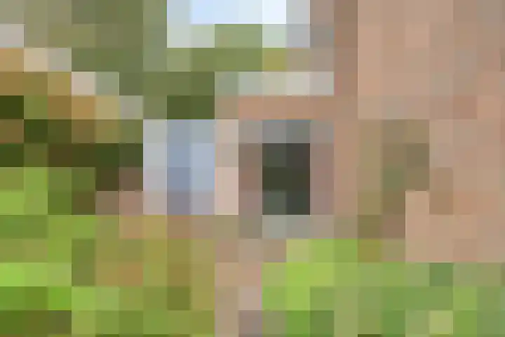 Molenberglaan 18 Klundert thumbnail 36