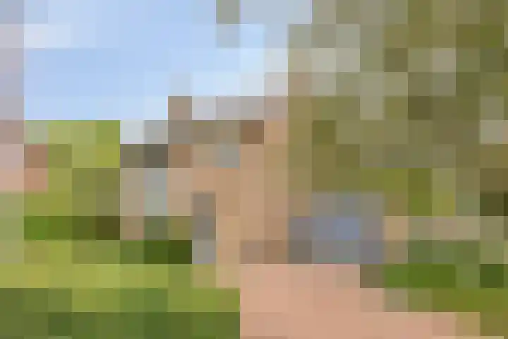 Molenberglaan 18 Klundert thumbnail 37