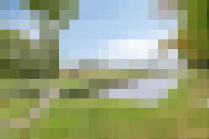 Molenberglaan 18 Klundert thumbnail 40