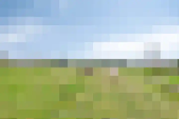 Molenberglaan 18 Klundert thumbnail 41