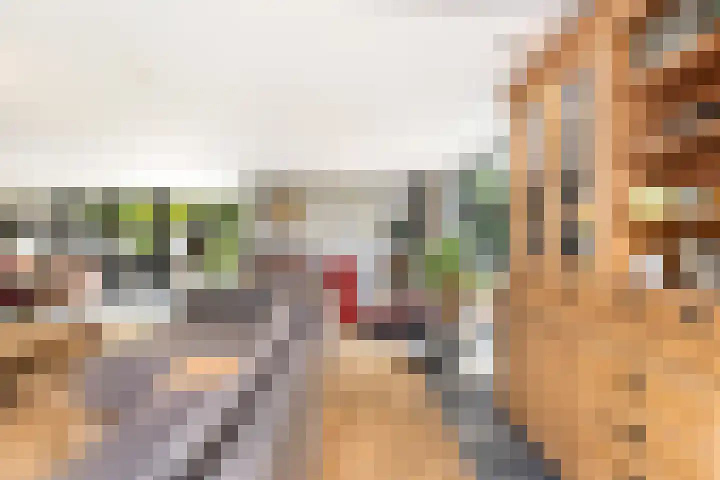 Molenberglaan 45 Klundert thumbnail 16
