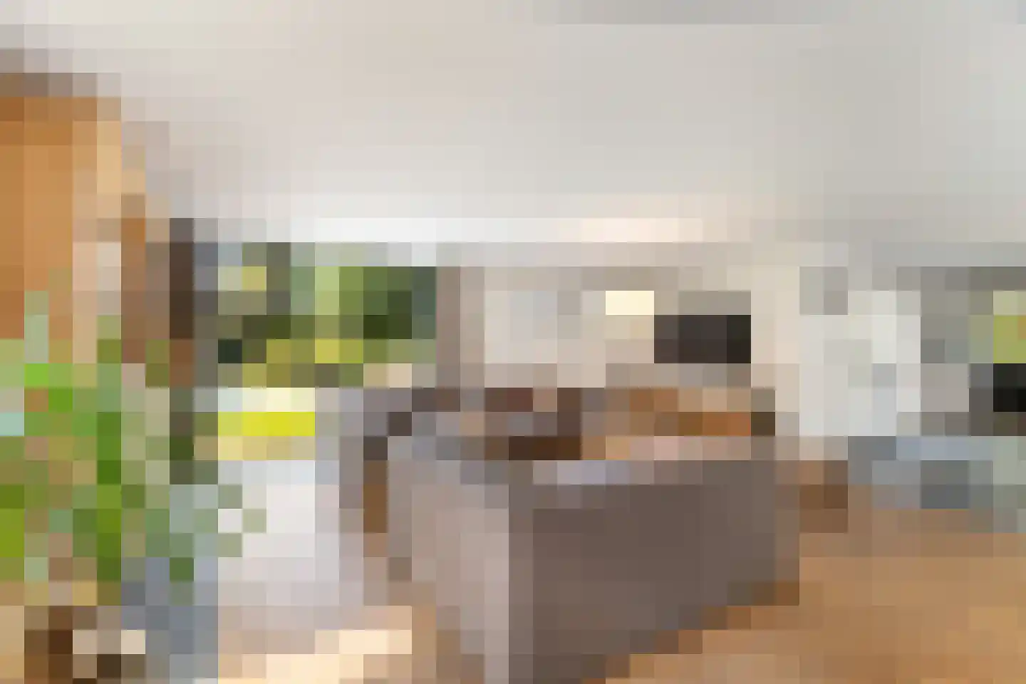 Molenberglaan 45 Klundert thumbnail 17