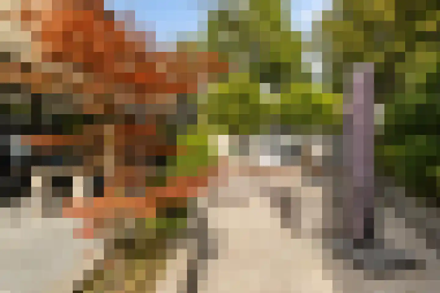 Molenberglaan 45 Klundert thumbnail 38