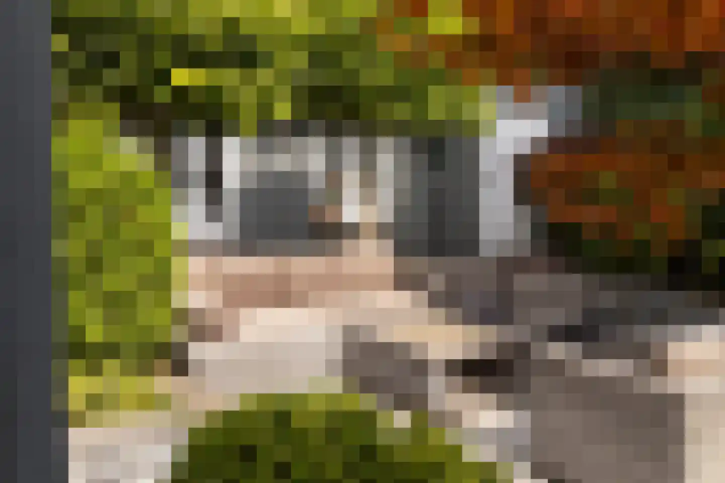 Molenberglaan 45 Klundert thumbnail 39