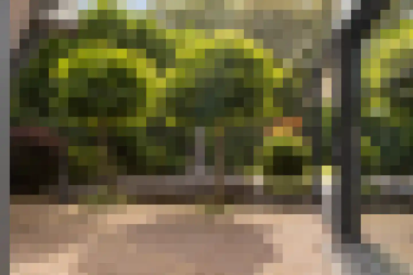 Molenberglaan 45 Klundert thumbnail 43