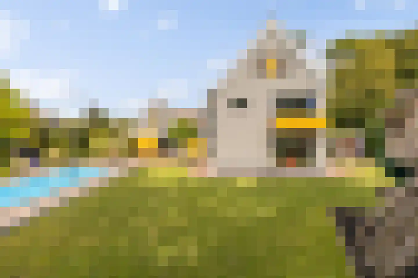 Molenberglaan 45 Klundert thumbnail 47