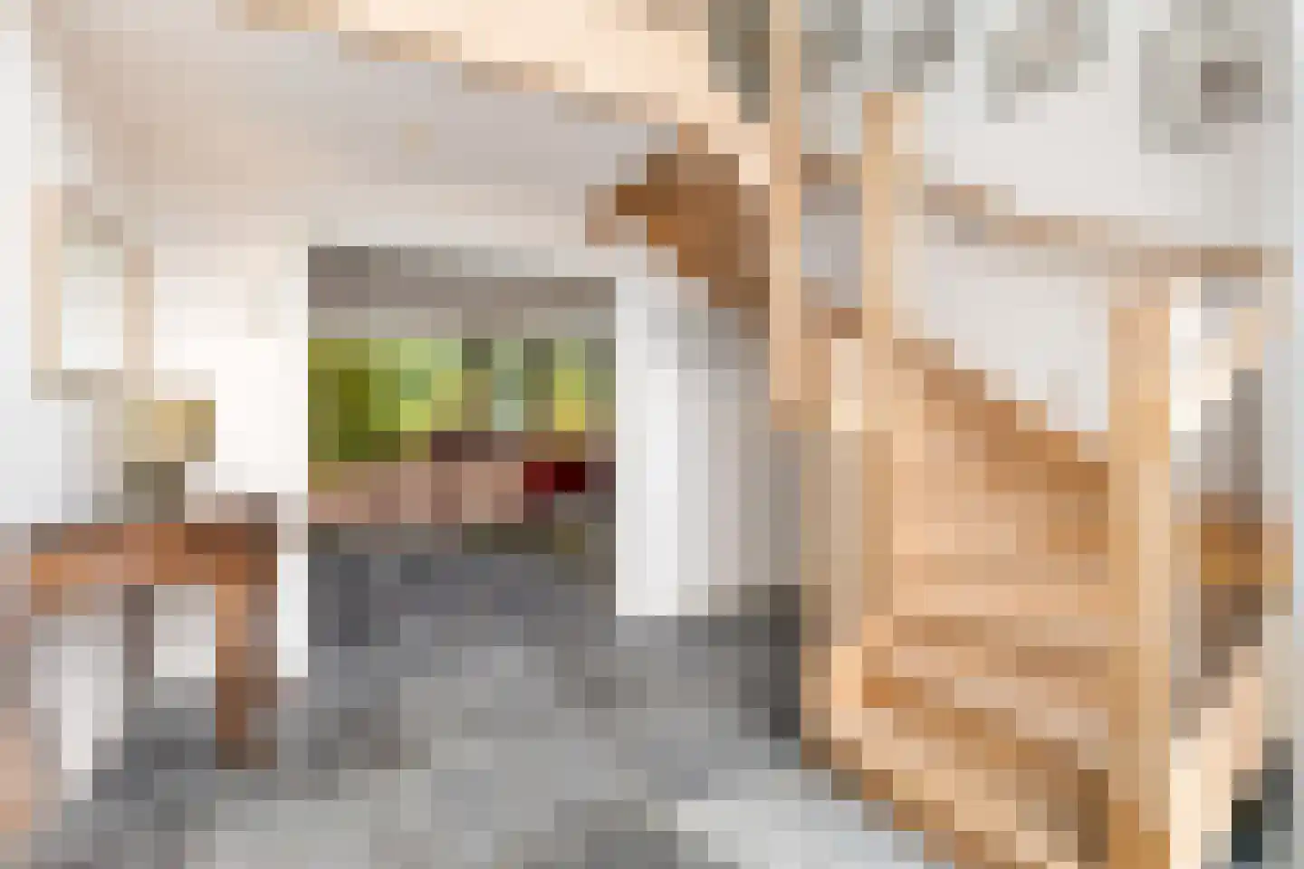 Molenberglaan 45 Klundert thumbnail 8
