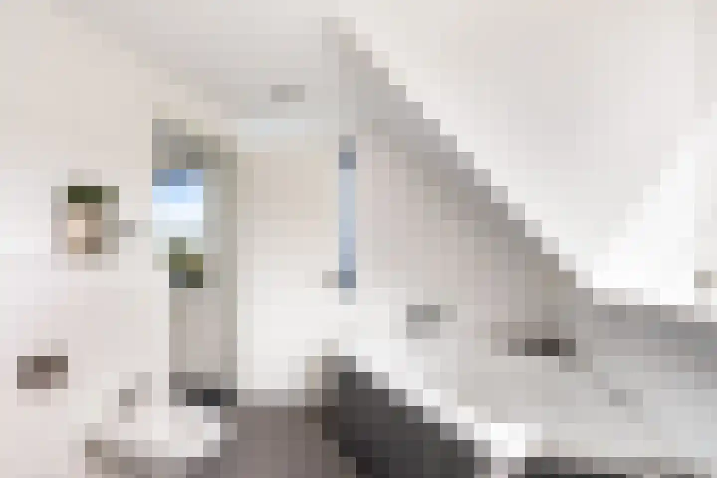 Molenberglaan 45 Klundert thumbnail 83