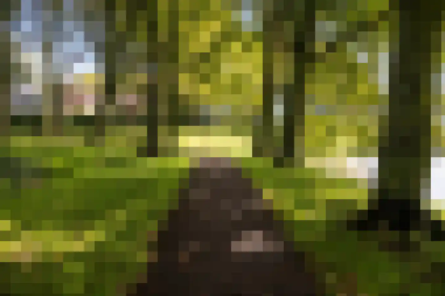 Molenberglaan 45 Klundert thumbnail 89