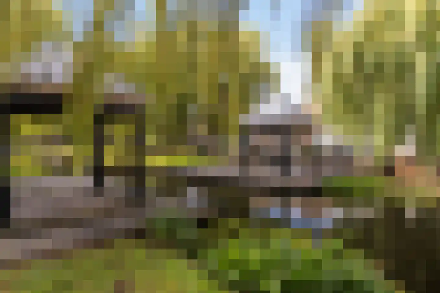 Molenberglaan 45 Klundert thumbnail 94