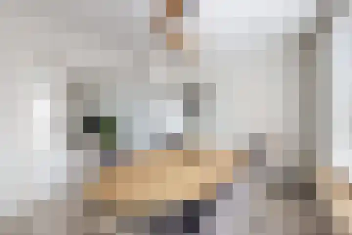 Molenberglaan 5 Klundert thumbnail 12