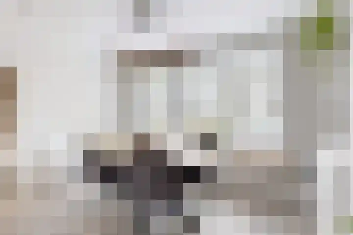 Molenberglaan 5 Klundert thumbnail 13