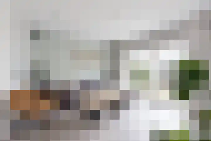 Molenberglaan 5 Klundert thumbnail 16