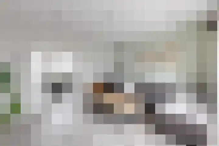 Molenberglaan 5 Klundert thumbnail 18