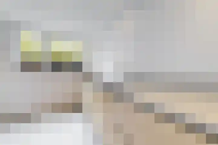 Molenberglaan 5 Klundert thumbnail 22