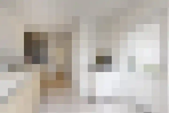 Molenberglaan 5 Klundert thumbnail 24