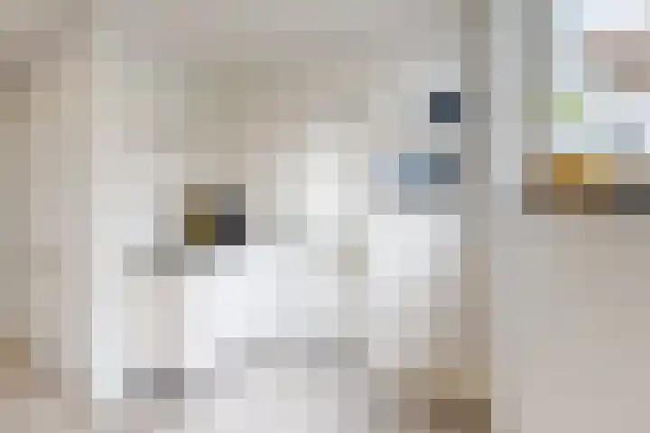 Molenberglaan 5 Klundert thumbnail 25