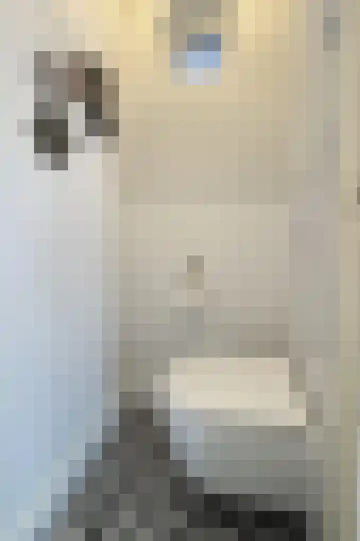 Molenberglaan 5 Klundert thumbnail 26