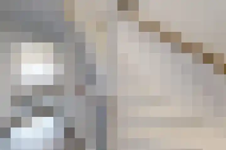 Molenberglaan 5 Klundert thumbnail 27