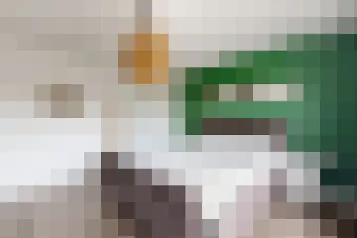 Molenberglaan 5 Klundert thumbnail 31