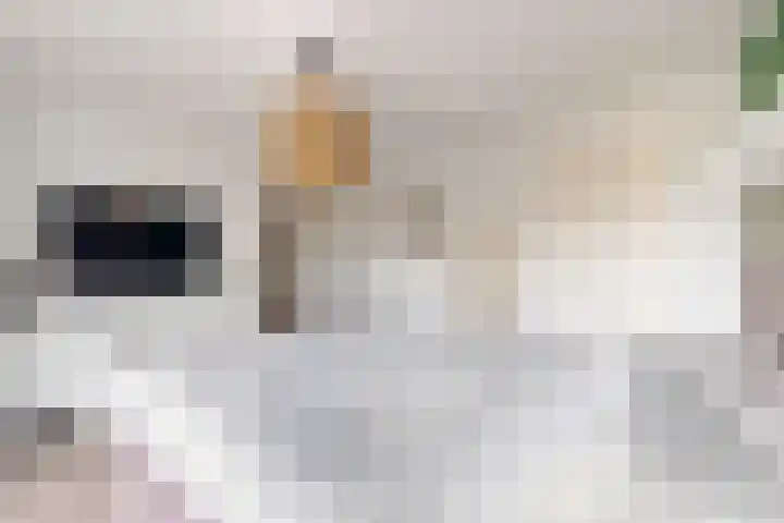Molenberglaan 5 Klundert thumbnail 32